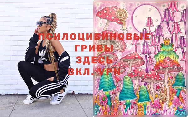 марки lsd Каменка