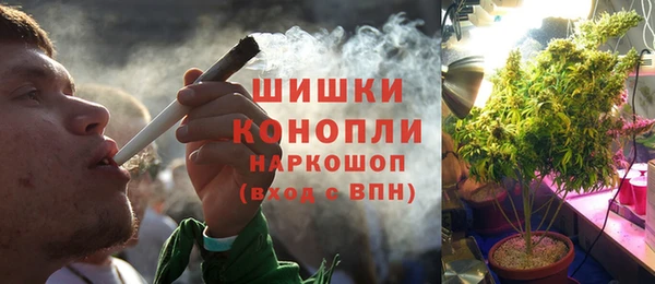 амф Касимов