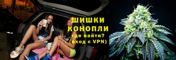 молекула духа Каменск-Шахтинский
