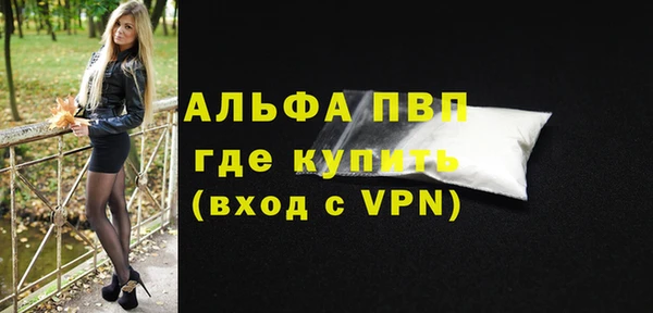 молекула духа Каменск-Шахтинский