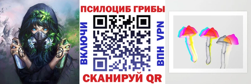 Купить закладки  Белинский  Галлюциногенные грибы Magic Shrooms 